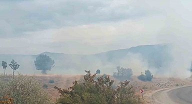 Bolu'da arazi yangını ormanlık alana ulaşmadan söndürüldü