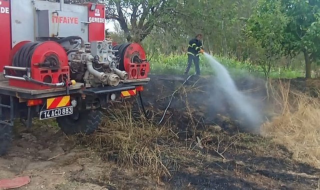 Bolu'da elektrik tellerine çarpan kuş yangına sebep oldu