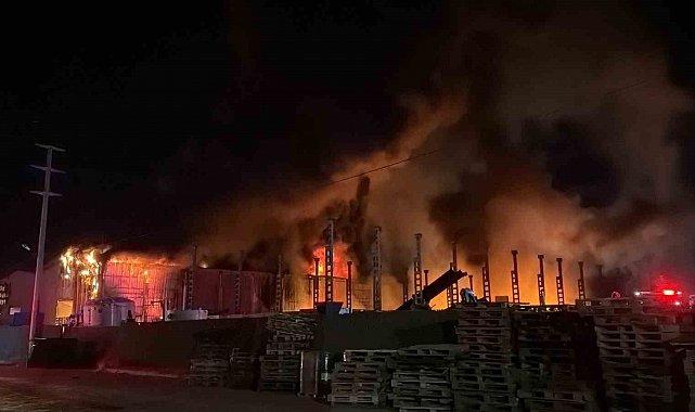 Bolu'da geri dönüşüm fabrikası alevlere teslim oldu