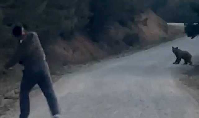 Bolu'da karşılarına çıkan ayıyı taşla kovaladılar