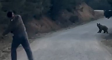 Bolu'da karşılarına çıkan ayıyı taşla kovaladılar