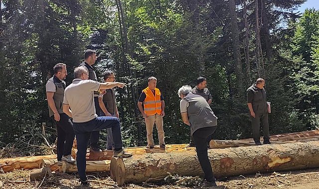 Bolu'da ormancılık faaliyetlerine saha denetimi