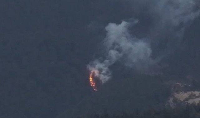 Bolu'da ormanlık alanda yangın çıktı
