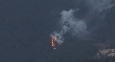 Bolu'da ormanlık alanda yangın çıktı