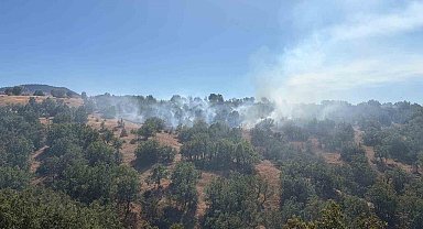 Bolu'da otluk arazide başlayan yangın ormana sıçradı: Havadan ve karadan müdahale sürüyor