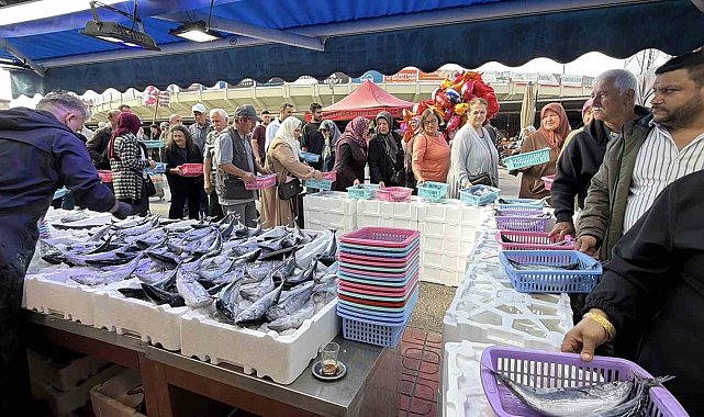 Bolu'da palamut ve hamsiye yoğun ilgi: Tezgahlarda metrelerce kuyruk oluştu