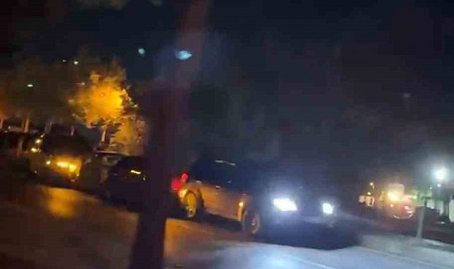 Bolu'da yola çıkan köpekler zincirleme kazaya neden oldu