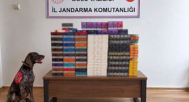 Bolu'da yolcu otobüslerinde kaçak tütün operasyonu: Piyasa değeri 760 bin TL