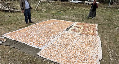 Boyabat'ta kış hazırlıkları başladı: Tarhana mesaisi