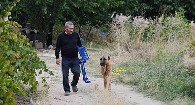 Bozkırın ortasında 15 yıllık emek: Emekli öğretmen yeşil vaha oluşturdu