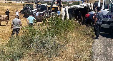 Boztepe'de hayvan yüklü tır yan yattı