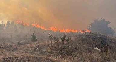 Bozüyük'te yangın kontrol altına alındı