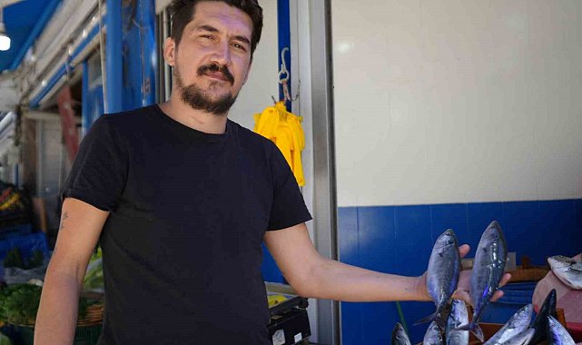 Bu sene vatandaşlar palamuda doyacak