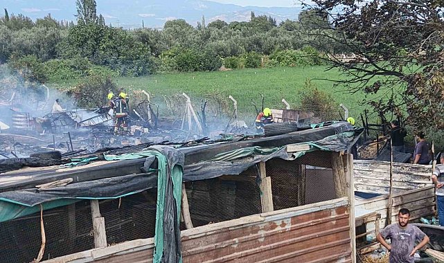 Burhaniye'de ahır yangını paniğe neden oldu