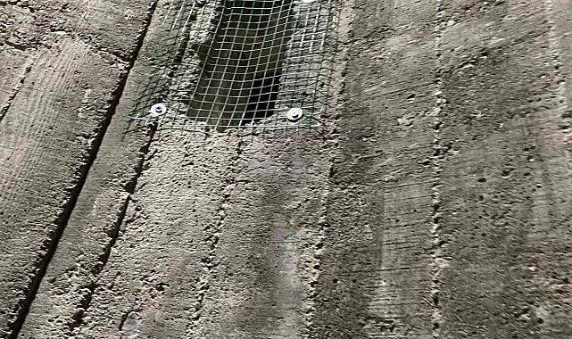 Burhaniye'de çıkılmayan minareler kargalara mesken oldu