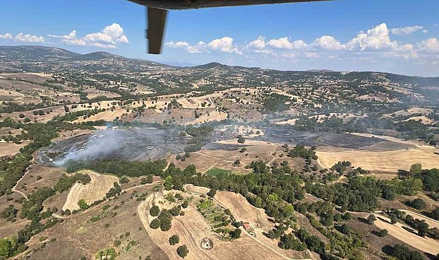 Bursa'da orman yangını...Tarım alanında başladı ormana sıçradı