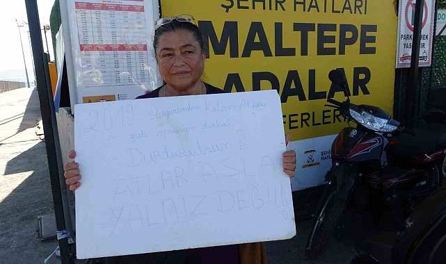Büyükada'da kalan son 16 at için 'gizli sevk' iddiası: Hayvanseverlerden "işlemleri durdurun" çağrısı