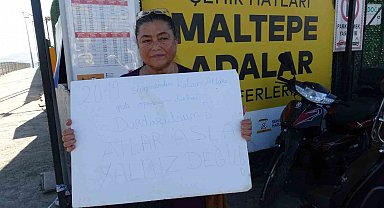 Büyükada'da kalan son 16 at için 'gizli sevk' iddiası: Hayvanseverlerden "işlemleri durdurun" çağrısı