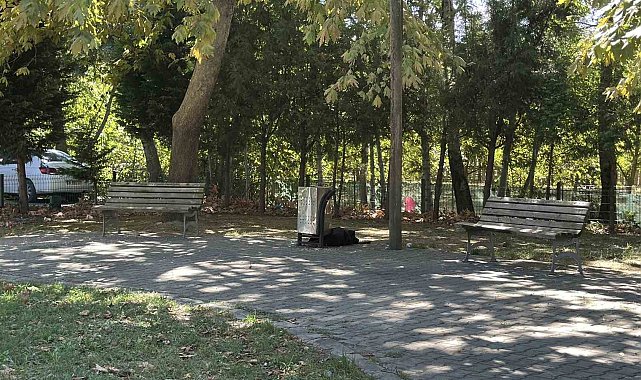 Cami parkındaki bankta şüpheli ölüm