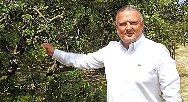 Çeşme damla sakızı uluslararası bilimsel yayına konu oldu
