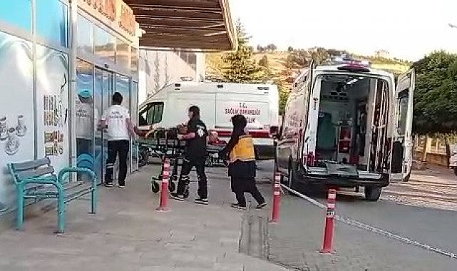 Ceviz ağacından düşen kişi yaralandı