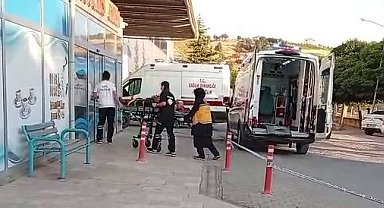Ceviz ağacından düşen kişi yaralandı