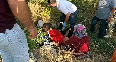 Ceviz ağacından düşen kişi yaralandı