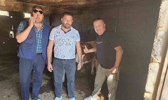 Çivril'de kaybolan iki buzağı mahalle halkını seferber etti
