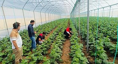 Cizre'de çiftçilere sera denetimi ve eğitimi