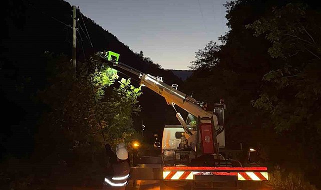 Çoruh EDAŞ, yağıştan etkilenen Rize ve Trabzon'da 120 saha çalışanıyla arızaları giderdi
