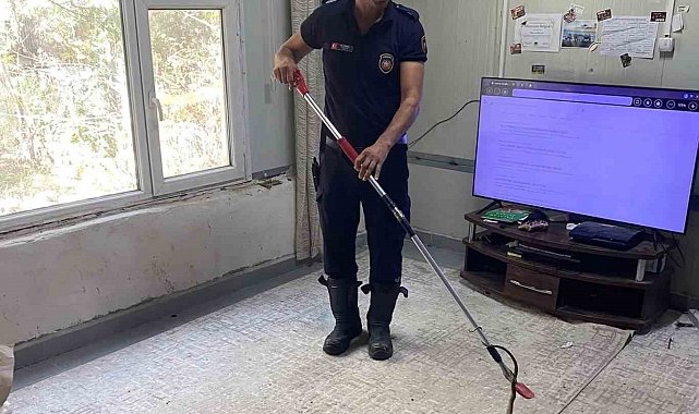 Defne'de eve giren yılanı itfaiye yakaladı