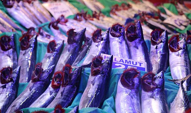 Denizlerde sezon açıldı, tezgahlar palamut ve hamsiyle doldu