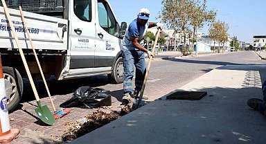 Didim Belediyesi'nden mazgal temizliği