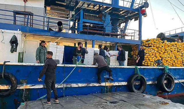 Didim'de hamsi kotası denetimleri sürüyor