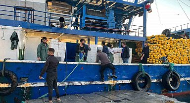 Didim'de hamsi kotası denetimleri sürüyor