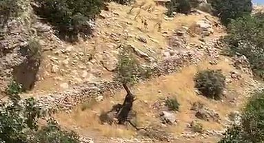 Diyarbakır dağları yaban keçilerine emanet