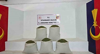Diyarbakır'da 14 bin kök kenevir, 129 kilo esrar ele geçirildi