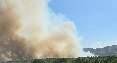 Diyarbakır'da ormanlık alanda yangın