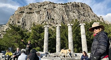 Doğaseverler, Anadolu'nun Pompeisi Priene Antik Kenti'ne dikkat çekti