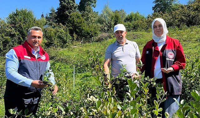 Düzce'de üretiminde yeni hedef katma değerli ürünler