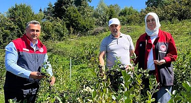 Düzce'de üretiminde yeni hedef katma değerli ürünler