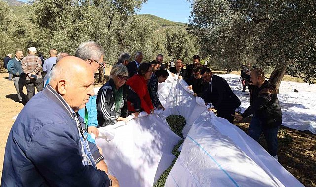 Edremit Körfezi'nin Altın Mirası İçin "3. Edremit Festolıve" başlıyor