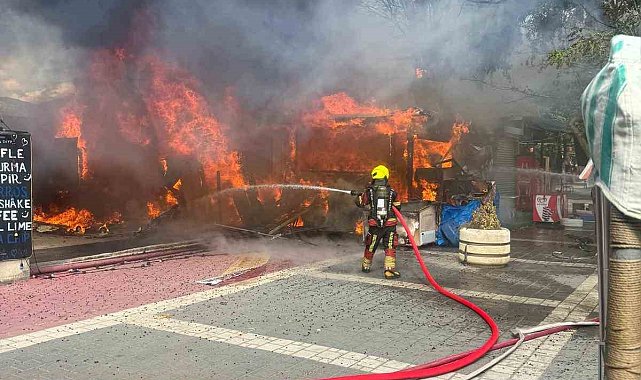 Edremit'te iş yerlerinin bulunduğu bölgede korkutan yangın