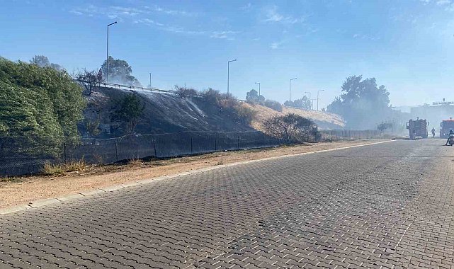 Efeler'de otluk yangını