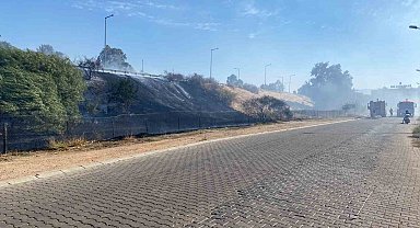 Efeler'de otluk yangını