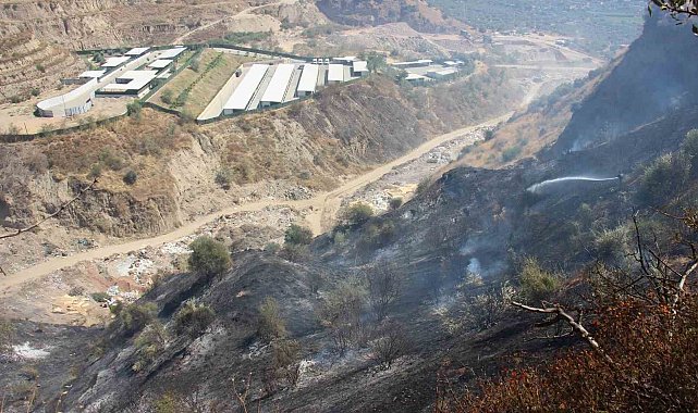 Ekiplerin hızlı müdahalesi can dostları ve hastaneyi yanmaktan kurtardı