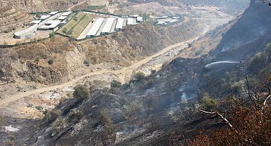 Ekiplerin hızlı müdahalesi can dostları ve hastaneyi yanmaktan kurtardı
