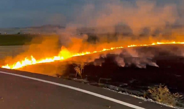 Elazığ'da arazi yangını