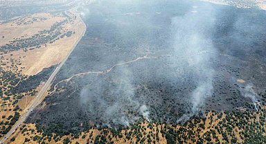 Elazığ'da kırsalda başlayan yangın ormanlık alana sıçradı: Müdahale sürüyor