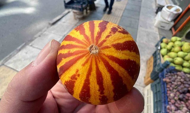 Elazığ'da kokulu süs kavunu tezgahlarda
